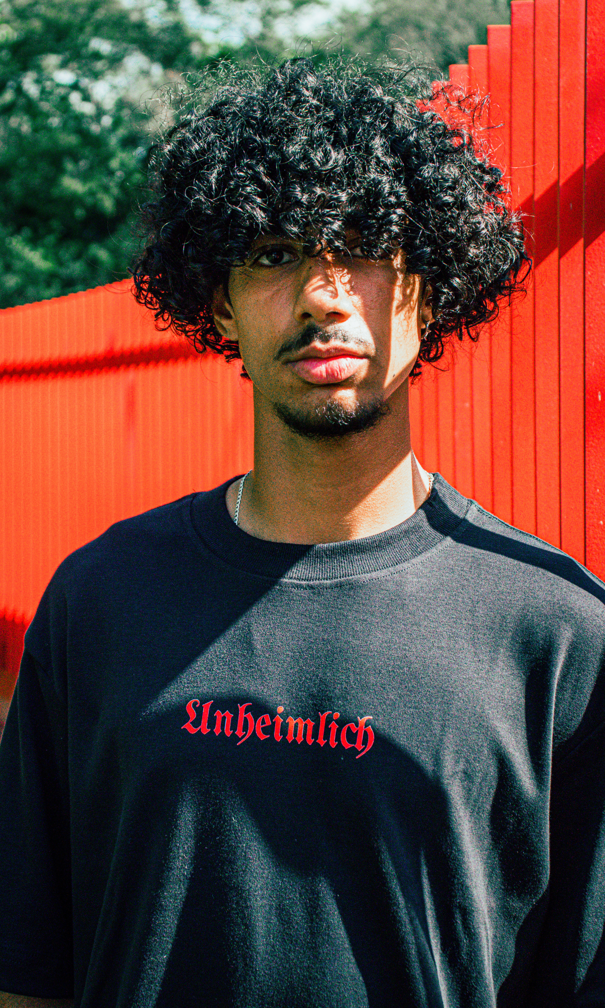Camiseta Oversized Silffers